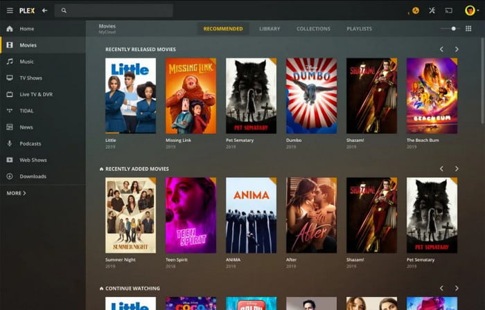 Plex Video Player Windows