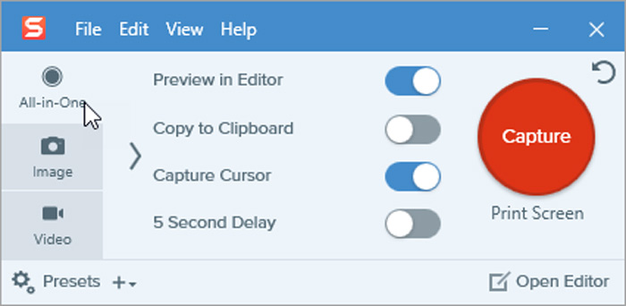 Snagit Capture Button