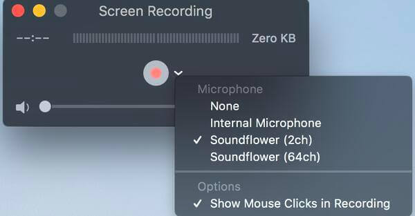 Screen Recording Button