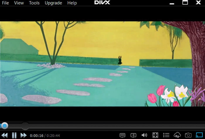 DivX Player