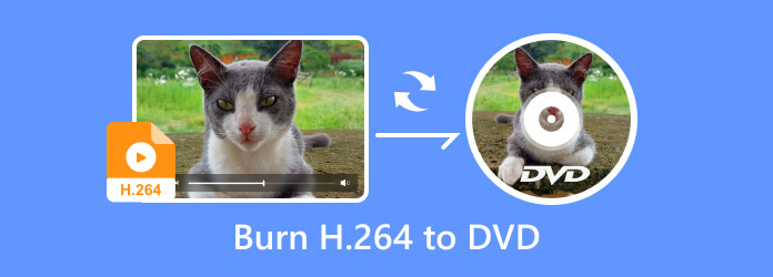 Convert H.264 to DVD