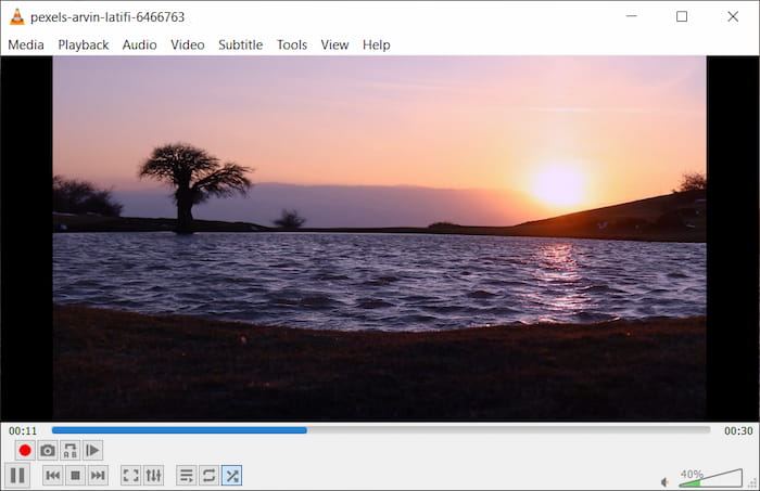 VLC Media Player Play DVD