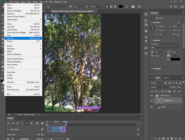 PS Edit Save Video Watermark