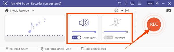 Mic on Audio Recorder