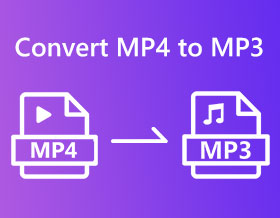 MP4 to MP3