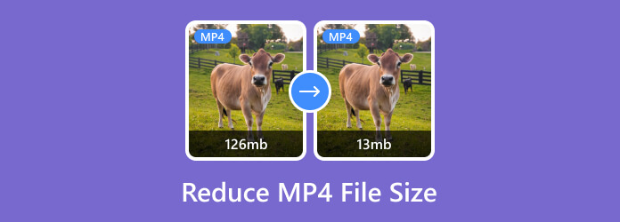 Reduce MP4 File Size