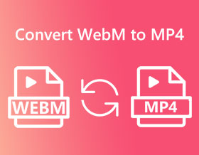 WebM to MP4