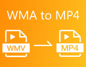 WMA to MP4