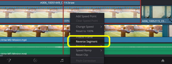 Reverse Segment Function