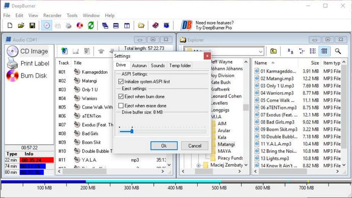 Deepburner MP4 to DVD Burner