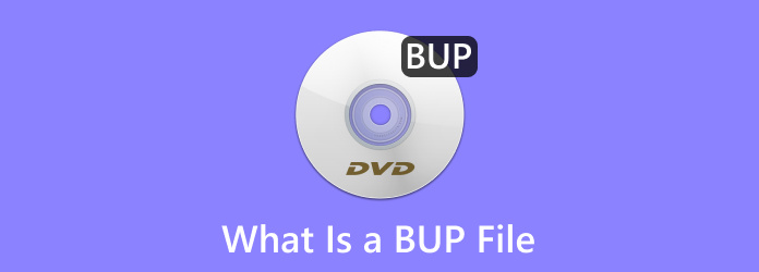 What Is a BUP File