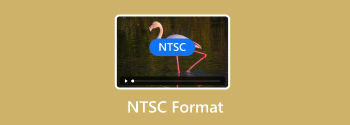 Ntsc Format