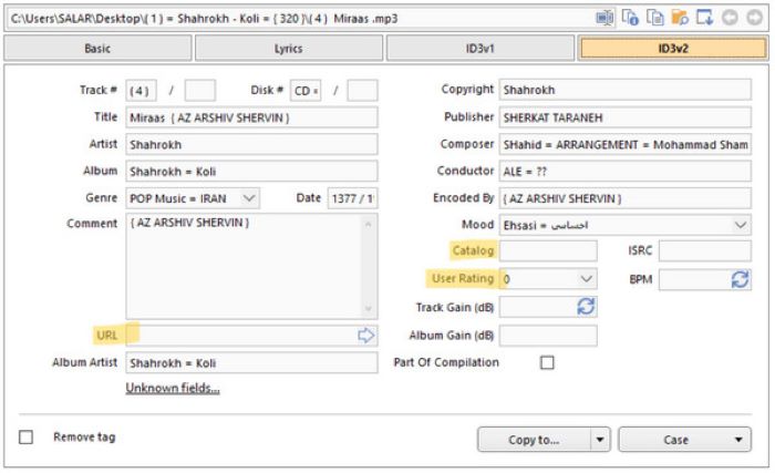 MP3tag Input Tags